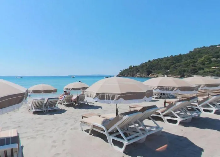 Spacieux Appt 3 Pieces Avec Terrasse Et Parking Au Lavandou - Fr-1-251-331 Апартаменты Ле-Лаванду